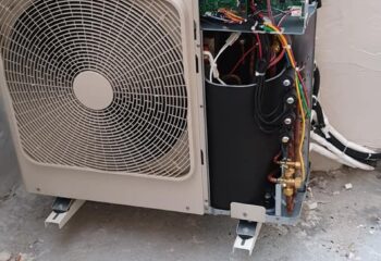 61985285_407896656604607_7309973770163191808_n